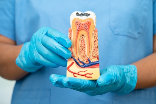 Root Canal Treatment in Lincolnwood, IL | Effective Pain Relief 🦷